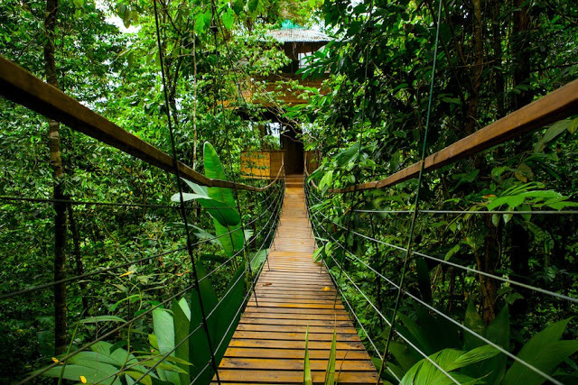 Khách sạn Finca Bellavista ở Costa Rica – một nơi đáng để đặt chân một lần trong đời